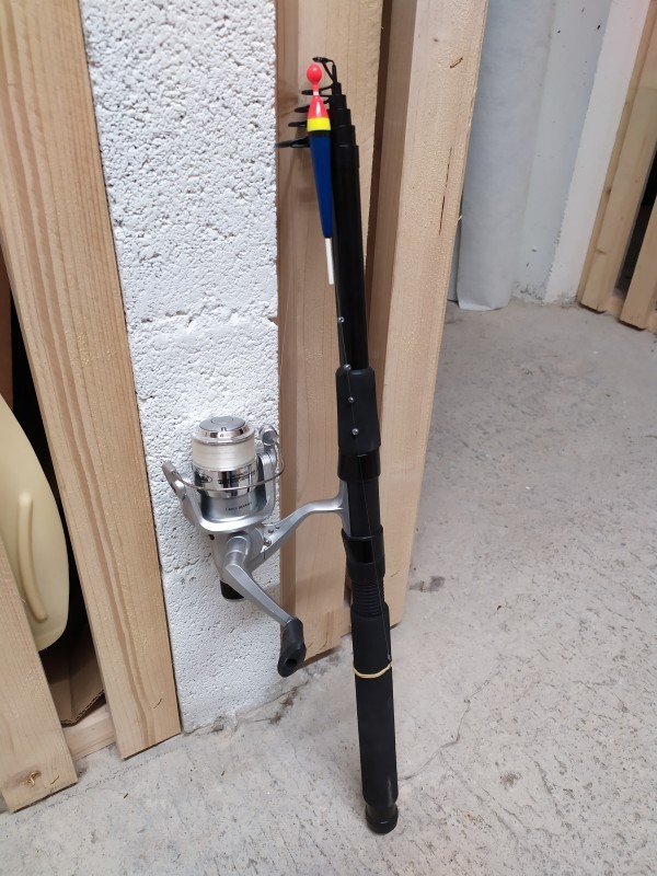 Canne à pêche débutant