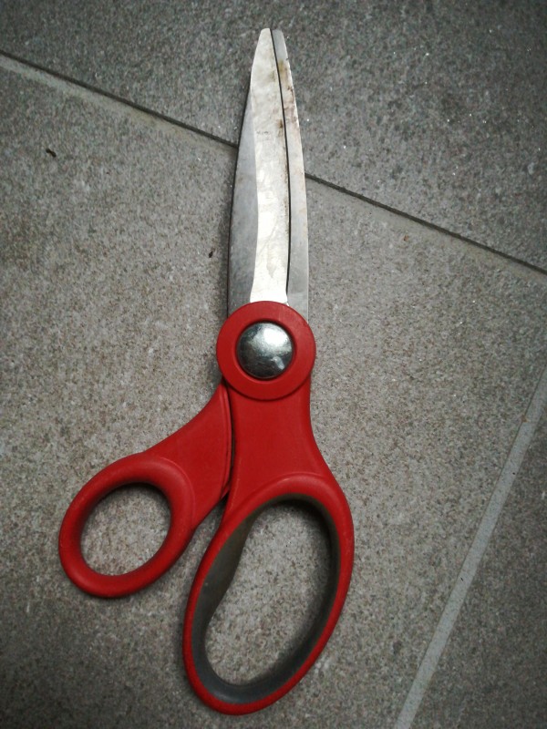 Ciseaux de jardinage